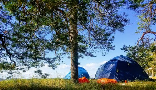 daniil-perunov-ZXl5ClKIqIU-unsplash