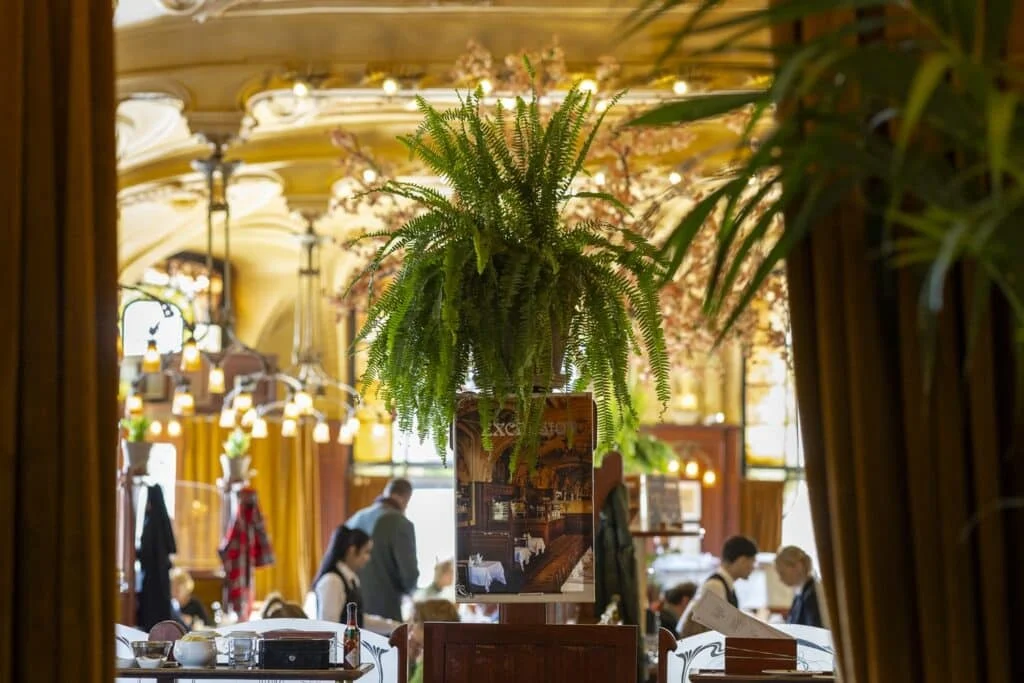 Salle Art nouveau de la brasserie L'Excelsior à Nancy